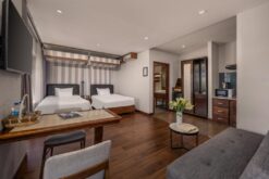 Deluxe Studio Twin Room with City View